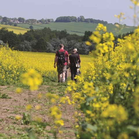 Reserve your tickets for the Chesterfield Area Walking Festival 2023