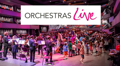Orchestras Live are on the look-out for a Digital Strategy Consultant 