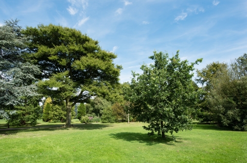 Markeaton Park is recognised as one of the UK’s very best green spaces