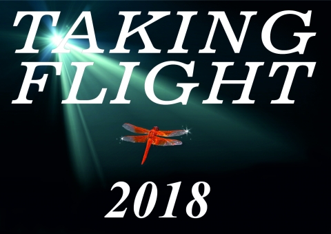 Taking Flight New Writing Competition – We want to hear your stories