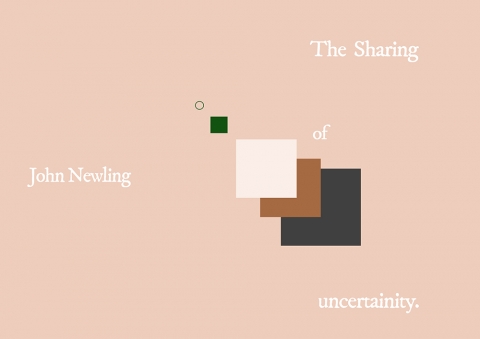 The Sharing Of Uncertainty - John Newling 