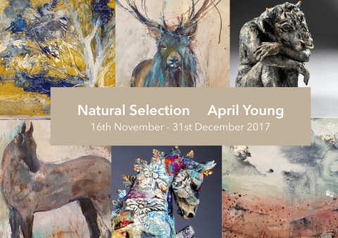 April Young's Exhibition in Sadler Gate