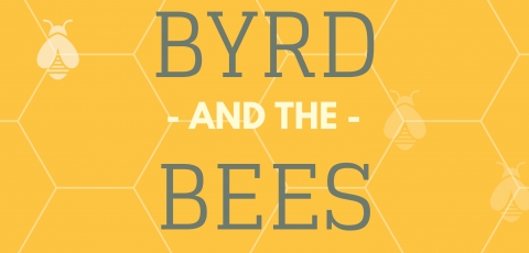 Upcoming concert for Derwent Singers - Byrd and the Bees