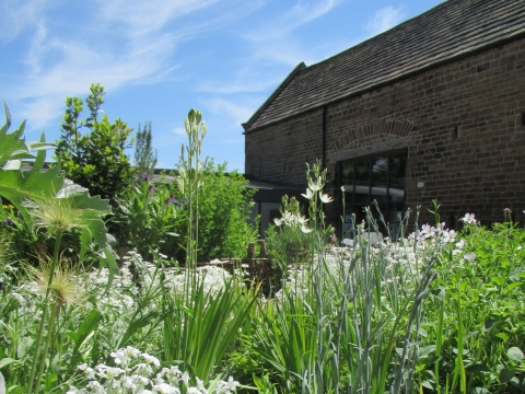 Dronfield Hall Barn: Summer is here and our gardens are looking fantastic!