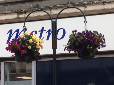Floral Festival Colour in Cathedral Quarter and St Peters Quarter