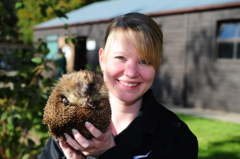 Hedgehog Conservation at Derby College
